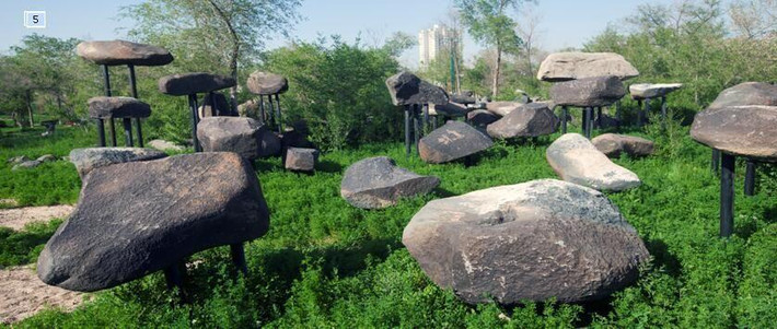 探秘新疆野馬古生態(tài)園