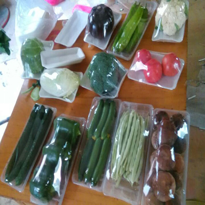 磁縣增鑫生態(tài)園