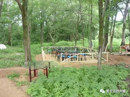 鄉(xiāng)村迪士尼：生態(tài)園趣味十足