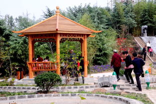 生態園新添景點 自然與人文的完美融合