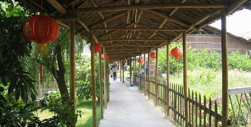 盈香生態(tài)園門票全攻略 預(yù)訂方式、價格信息與游玩指南